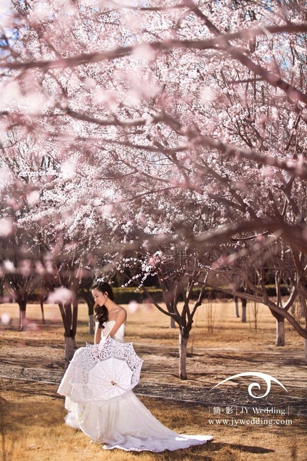 他给你三生三世，简影给你十里桃花