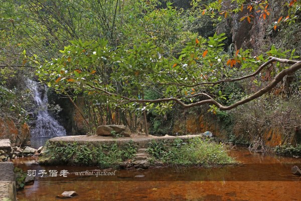 居于涟岸隐于湖，到肇庆体验离尘不离城的精致慢生活