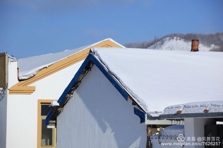 白狐千年等待只为今生相遇,白狼一生只爱一人