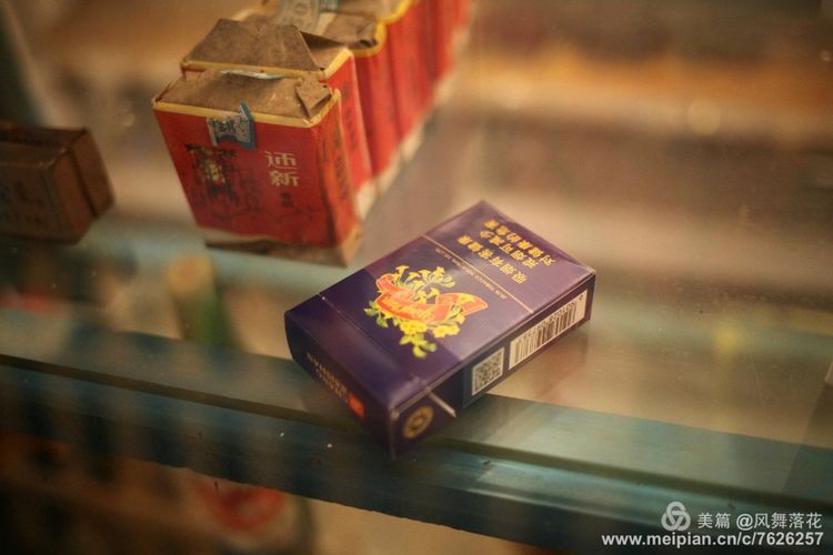 白狐千年等待只为今生相遇,白狼一生只爱一人