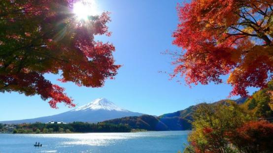最近很火的日本植物酵素,日本最新产品减脂酵素
