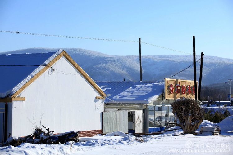 白狐千年等待只为今生相遇,白狼一生只爱一人