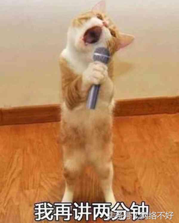 老师讲课上衣,老师上课穿的罩衣