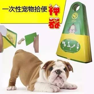 小区很多野狗,小区到处都是狗粑粑谁来管