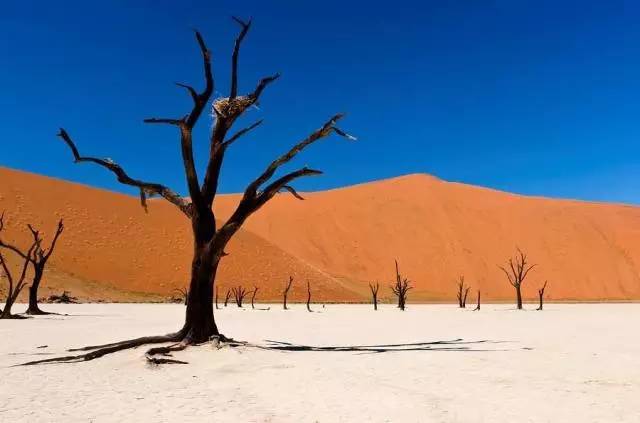 怎么拍出来照片和油画一样,拍照拍出油画质感