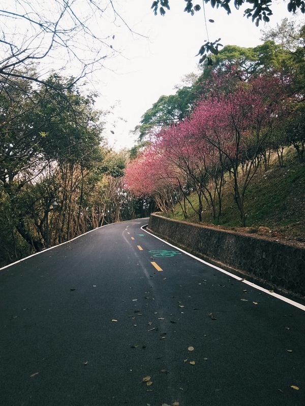 梅州七个县城有哪些地方,梅州有什么特别的地方