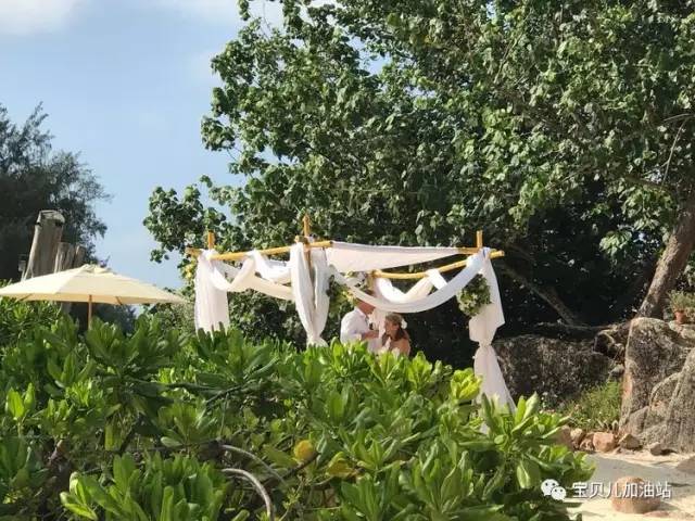 塞舌尔游记,塞舌尔埃及