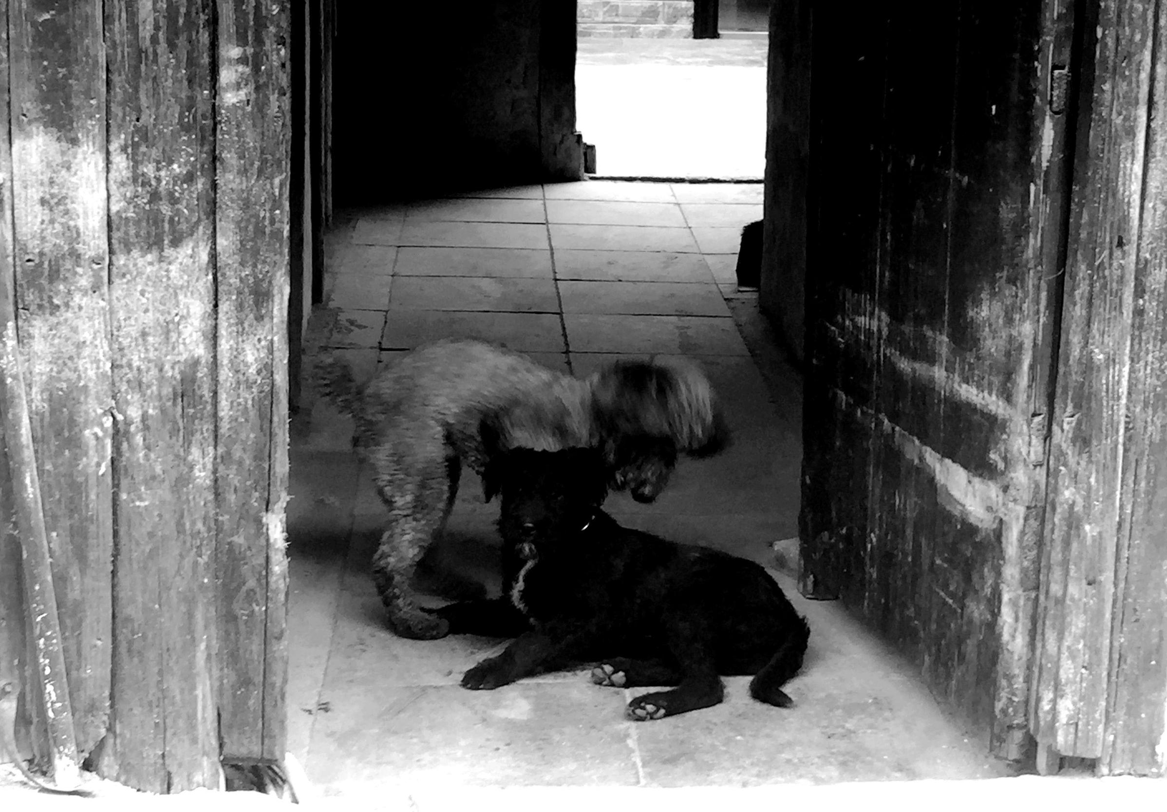 沙溪镇历史,太仓沙溪古镇有多少年历史