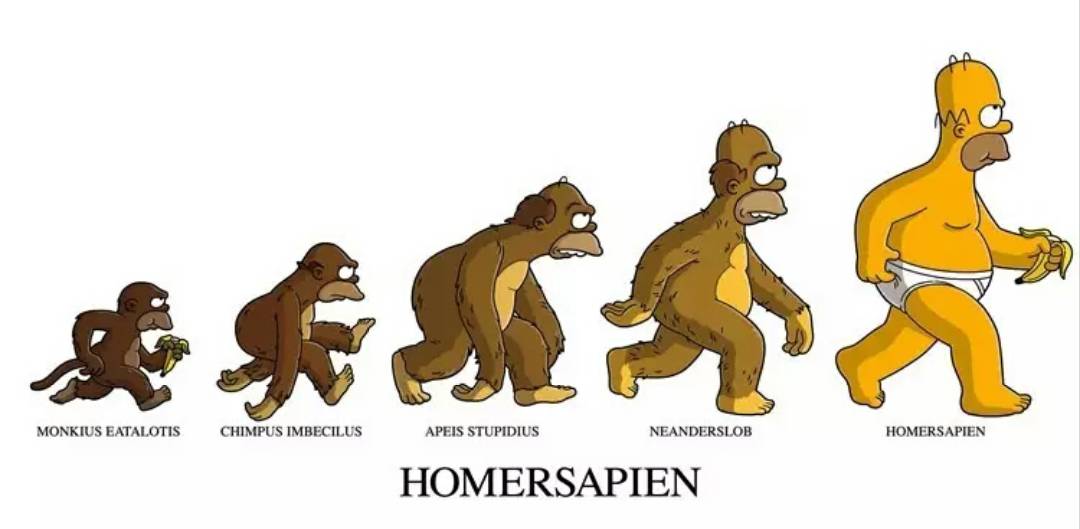 关于国潮视频,关于讲述国潮的视频