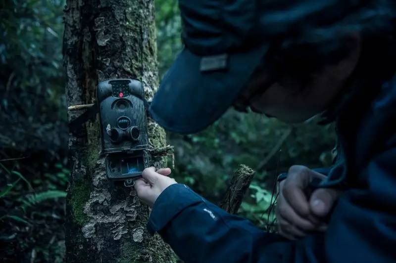 森林之眼好玩吗,森林之眼在景区哪个位置