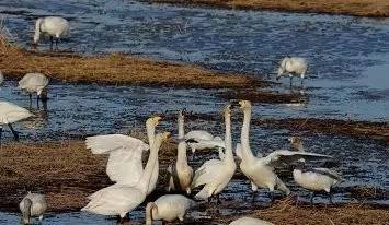 辽宁国家级海洋公园旅游景区,辽宁省海洋公园