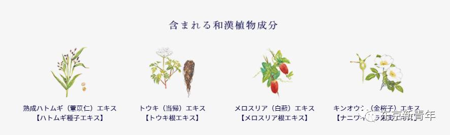 新垣结衣雪肌精广告,新垣结衣雪肌精