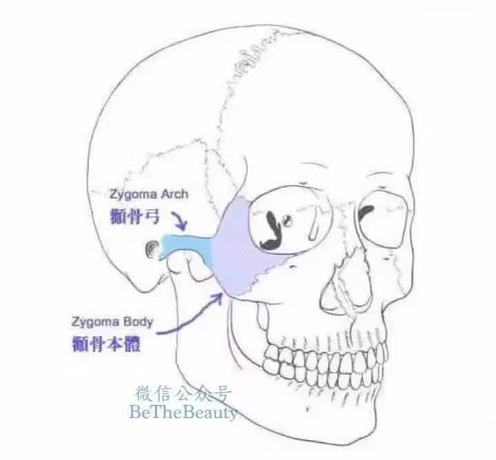 鎬庝箞璁╄劯鍨嬪彉寰楀ソ鐪嬪皬鍦嗚劯,濡備綍璁╄劯鍨嬪彉鎴愭祦鐣呭皬鍦嗚劯