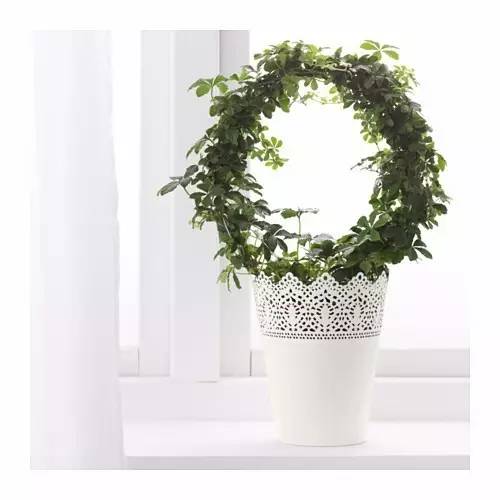 宜家十大不建议买的东西,宜家最不值得买的四件东西