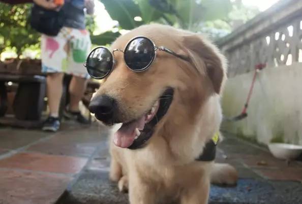 人力资源行业的困境,人力资源行业如何破局