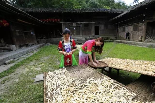 只有来过石柱，你才会知道这些事儿！