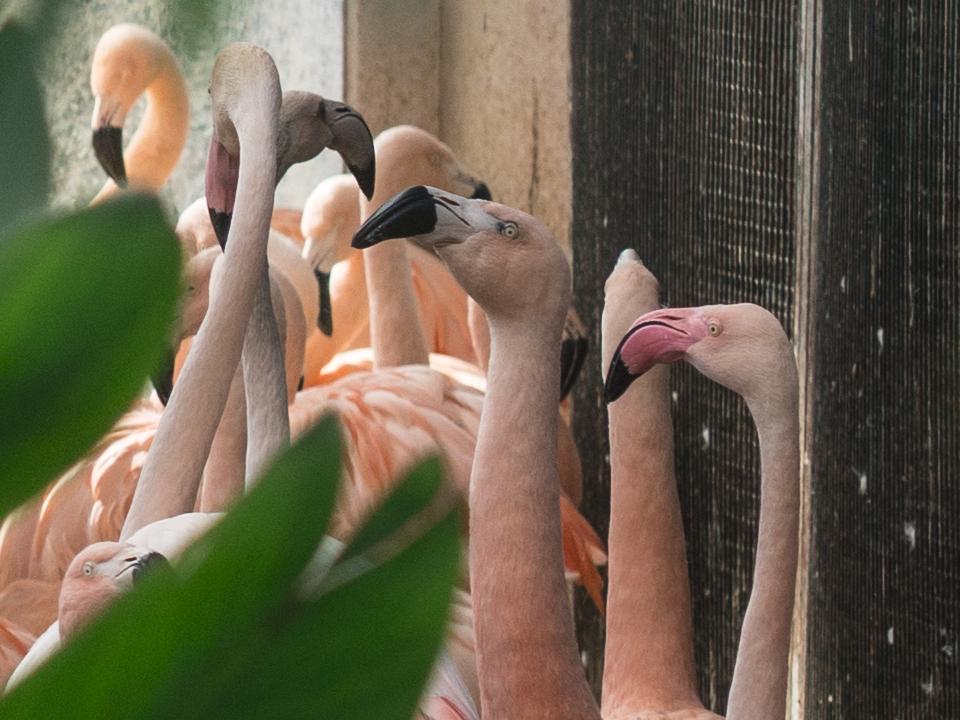 索尼fe85mmf18镜头正式开启预售,索尼fe85mmf1.8风景