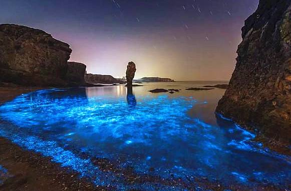 舟山清新海岛旅游攻略,舟山小众海岛游