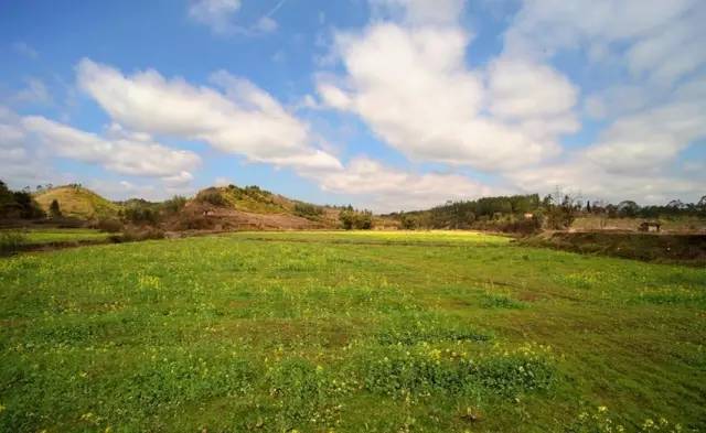 说走就走的踏青,说走就走的看花之旅