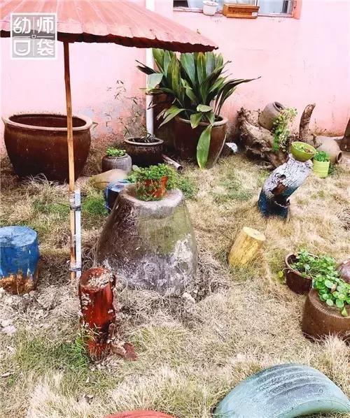 自然生态特色幼儿园,国际幼儿园自然角