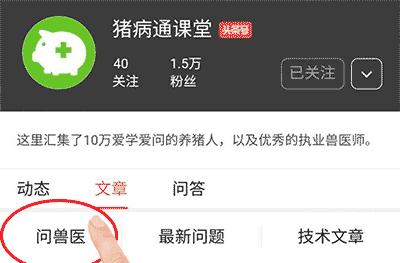猪人工授精的精髓是什么,猪人工授精技术要点步骤