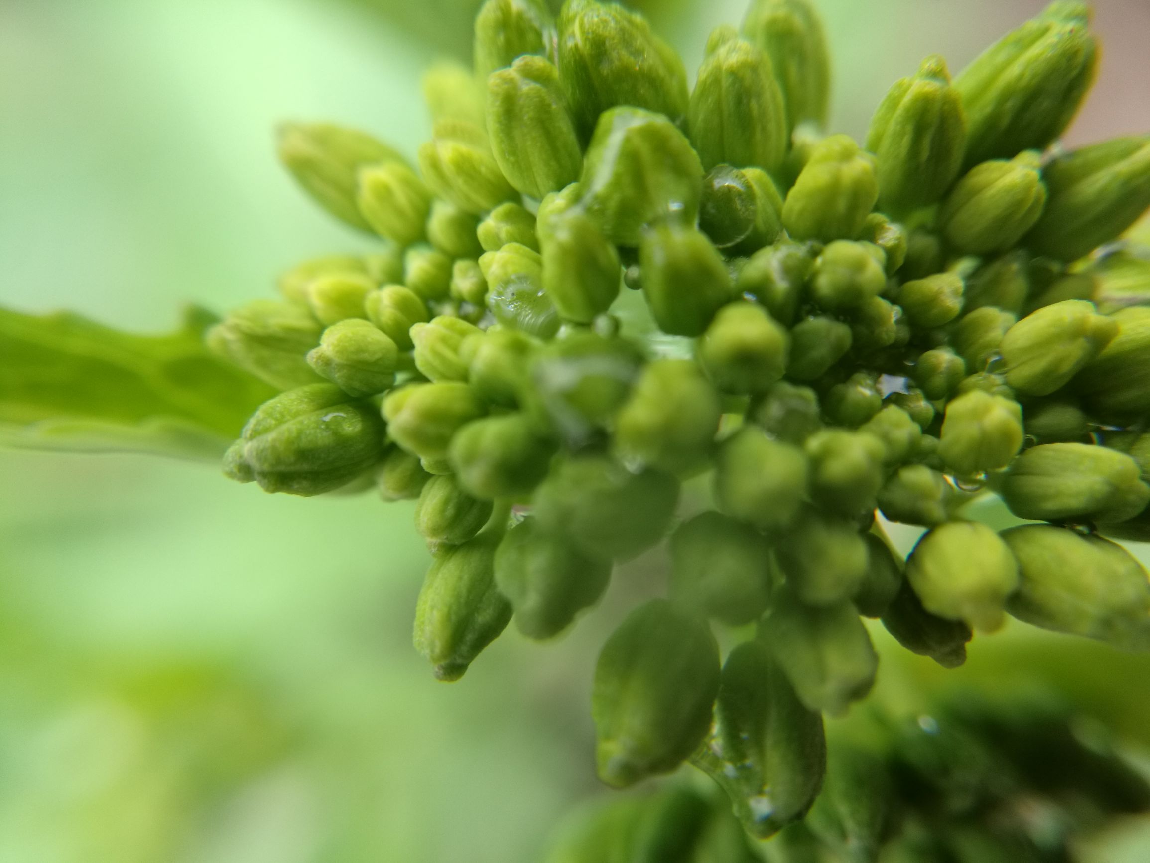 第三天，错过宿营地！「千里走单骑X2」零经验骑行者的日记！