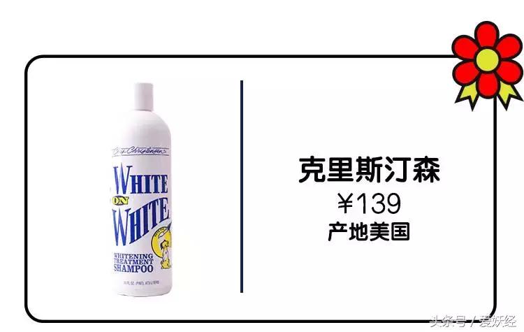 宠物香波哪个好用,什么宠物香波好用