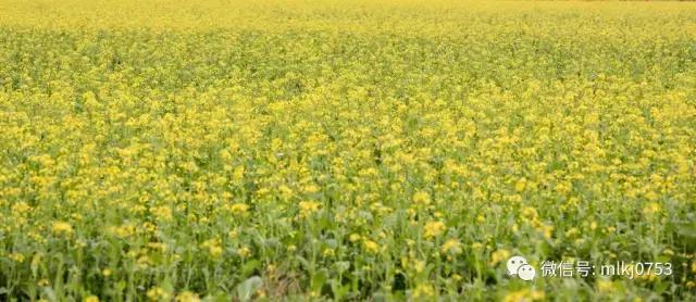 以二十四节气之名，诠释梅州之美