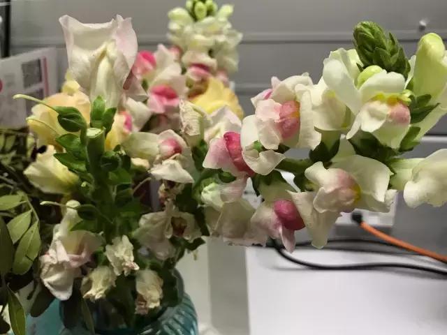 成都鲜花包月99每月4次,花费上万测评1个月