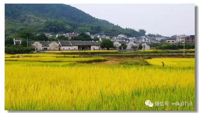 以二十四节气之名，诠释梅州之美