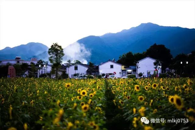 以二十四节气之名，诠释梅州之美