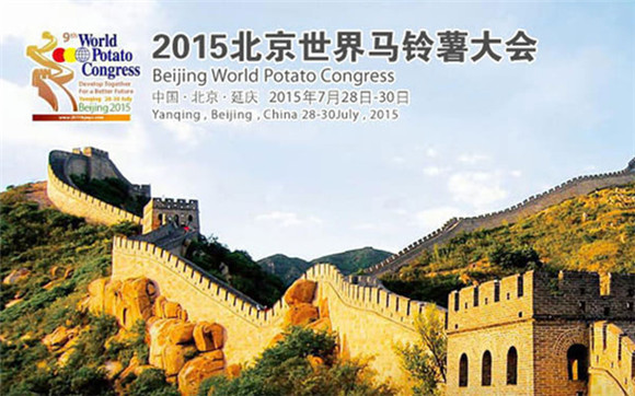 你好！那个叫“洋芋”的马铃著同志！