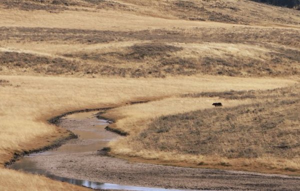 随手一拍都是美景美国大农村,英国随手一拍都是风景