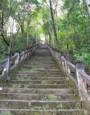 成都周边踏青二日游自驾游,春节成都看花好玩的地方推荐
