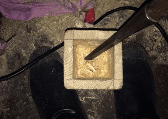 多肉可以用木头种植吗,在家养多肉省钱的最高境界