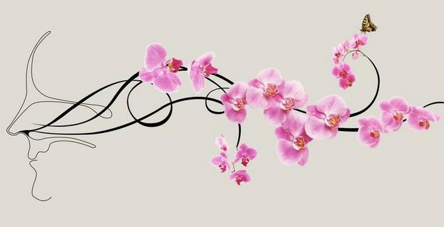 嗅觉味觉失灵挂号挂什么科,哪个医院看嗅觉失灵最好