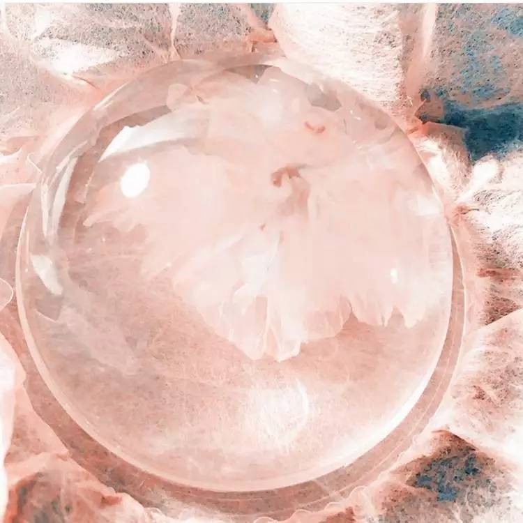 早春樱花系列 (樱花粉嫩款推荐)