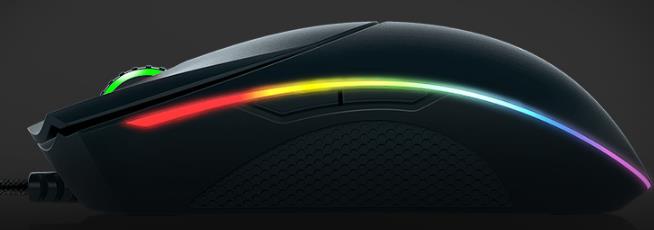 雷蛇八大歧蛇测评,雷蛇和绿蛇