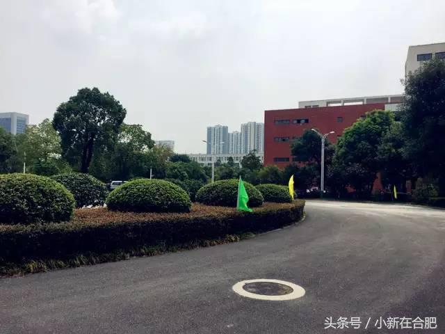 合肥46中徐文艺老师,合肥择校46中