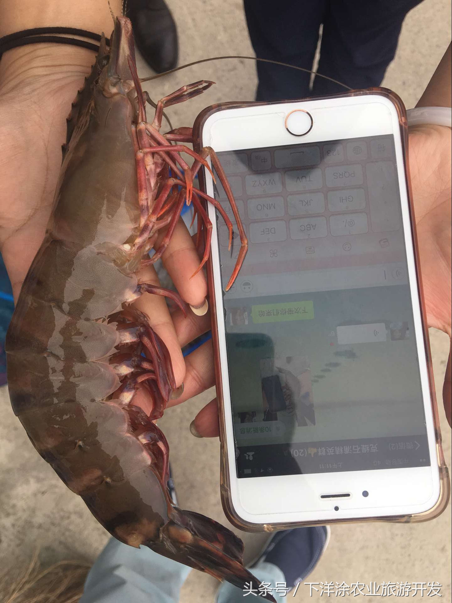 宁波海鲜餐排行榜第一名,宁波江北区海鲜排行榜前十名