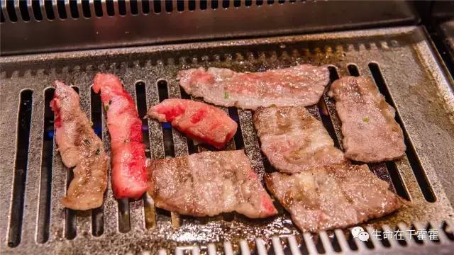 拉面 · 自动贩售机 · 雪｜云之彼岸的日本欢脱之旅