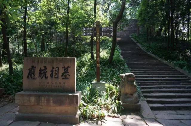 成都周边踏青二日游自驾游,春节成都看花好玩的地方推荐