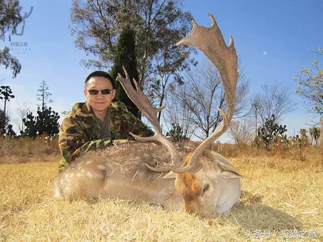 鍗楅潪鐭ュ悕鐚庝汉,鍗楅潪鐚庝汉鐙╃寧