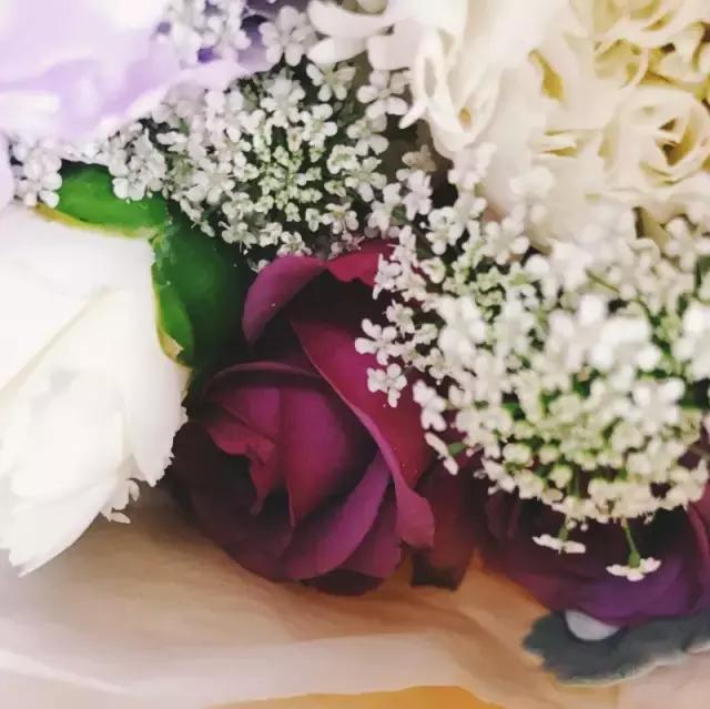 我们用1000元的教训告诉你:包月鲜花全是坑!一家都不推荐!