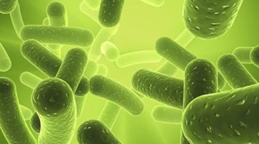 孕第三十九周：顺产的好处，还有一条是几年后你才知道的