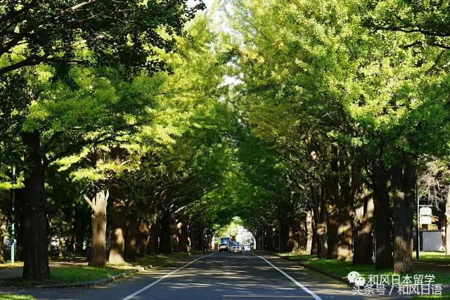 颜值与实力兼备高校,北大为何这么强大