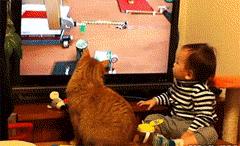 路上要是见到这么多钱，你们会怎么办？花掉还是还给人家