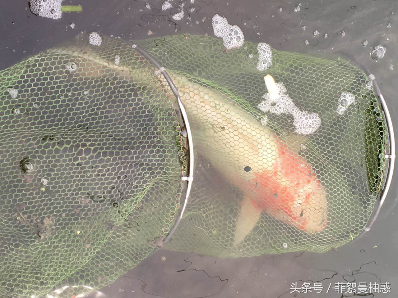 结束了钓鱼一天的疲惫,休息一天明天继续钓鱼