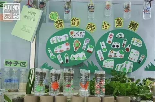 幼儿园如何打造自然区角的环境,复古自然角幼儿园