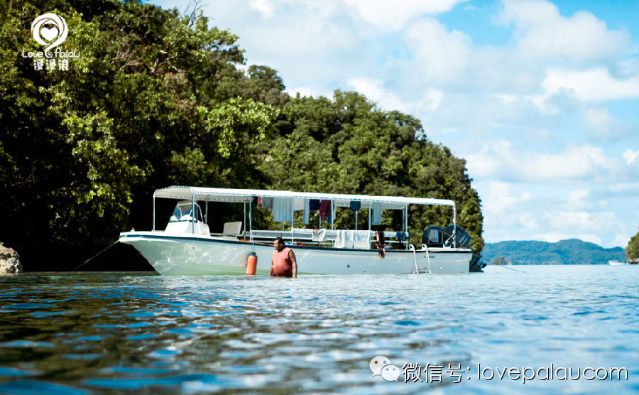 帕劳出行攻略详细 (去帕劳要买哪些东西)